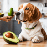 can dogs eat avocado