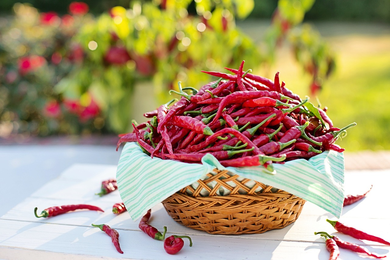  Exploring Mediterranean Cooking: Delicious and Healthy Recipes You’ll Love 