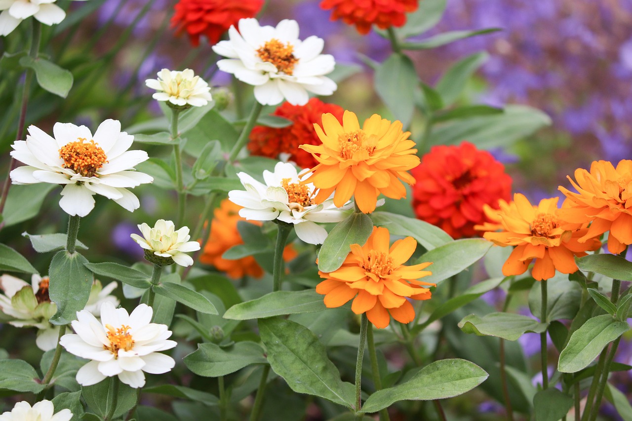  Master the Art of Repotting and Propagation: Essential Tips for Thriving Indoor Plants 