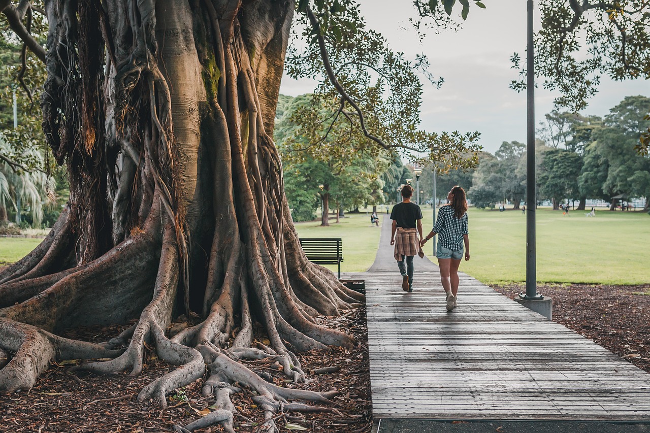 Unlocking the Power of Self-Care: Essential Routines for a Balanced Life