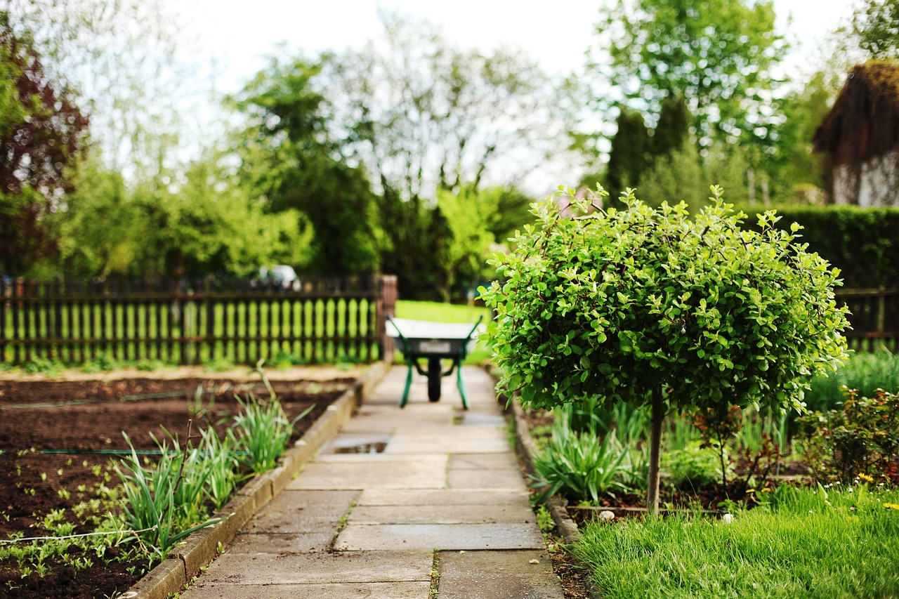  How to Decorate and Arrange a Small Garden: Tips for Maximizing Space and Beauty 