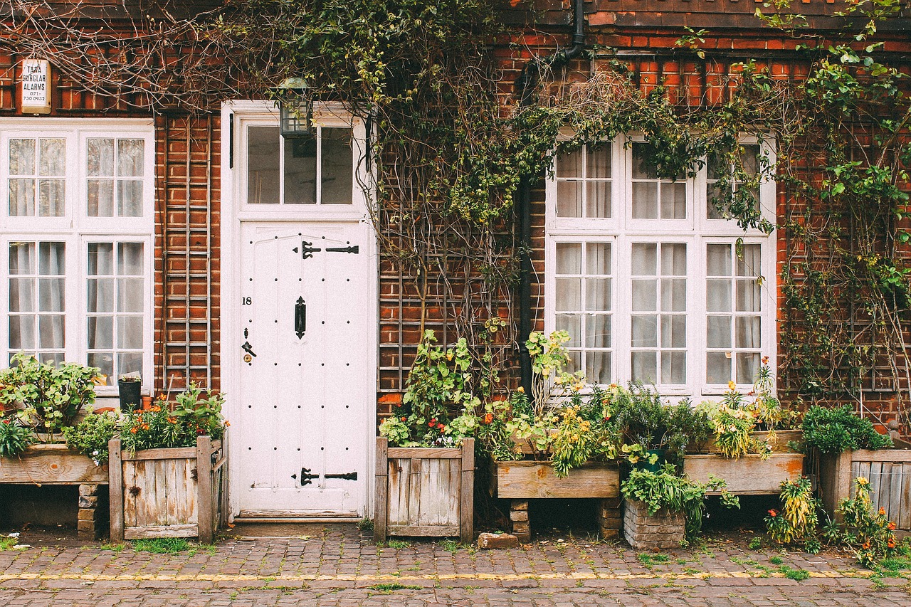  How to Choose the Perfect Curtains and Rugs for Your Home: A Complete Guide 